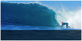 Reef